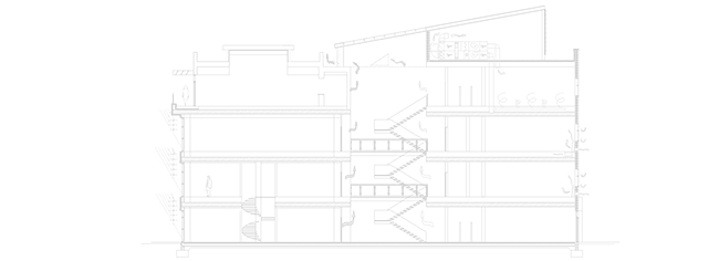contact ESDP